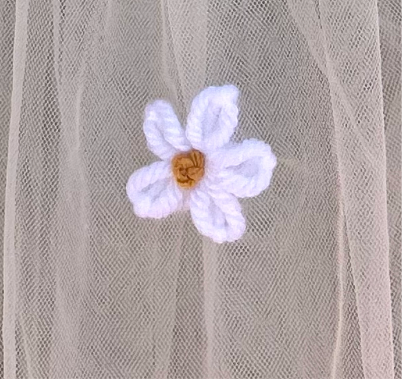 Small Daisies