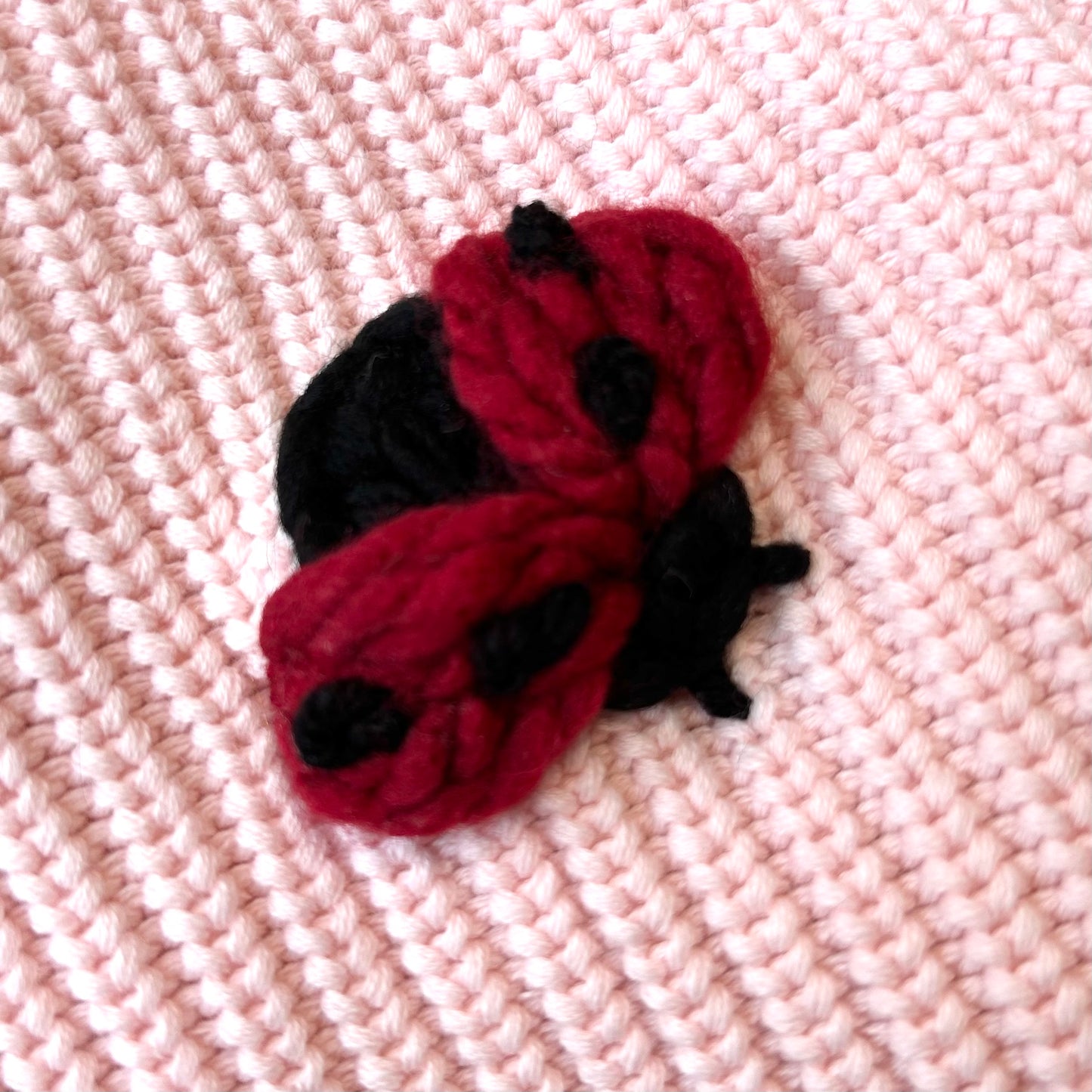 Lady Bugs